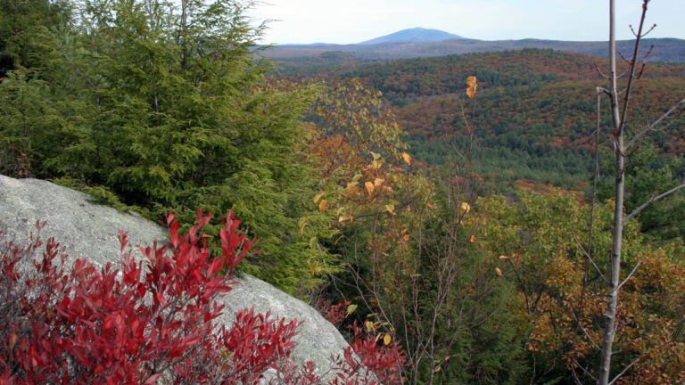 20-year-old Mass. hiker dies after medical event in Monadnock State Park