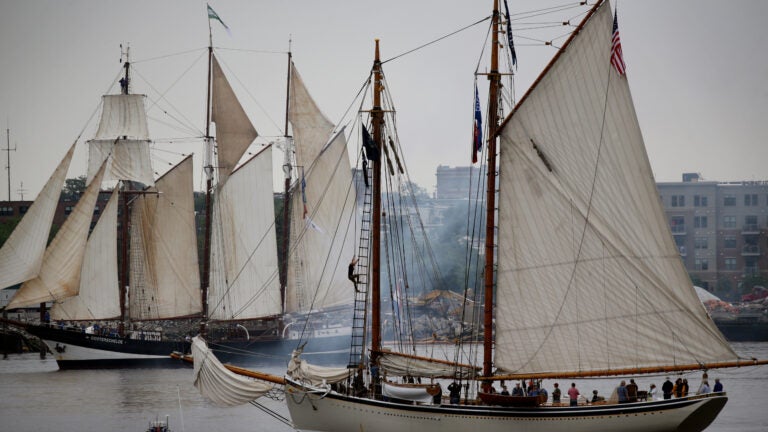 How to watch the Parade of Sail by boat