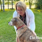 The Boston Globe A Vermont prosecutor’s dog keeps biting people. Critics say the woman’s behaving like she’s above the law. 8 min read
