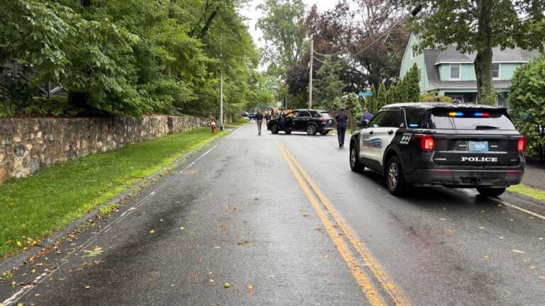 Child on bike injured in crash with SUV in Wellesley