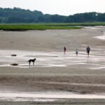 BEACHES Updated: More than 40 Mass. beaches remain closed for swimming Wednesday 1 min read