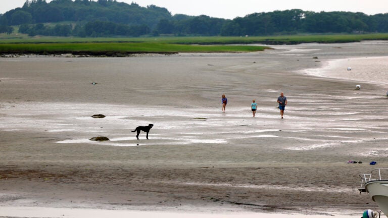 These are the beaches closed in Mass. amid heat wave and smoky skies