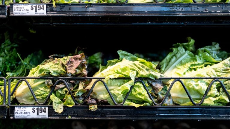 Cyclospora cases traced to hospital cafeteria in N.H.