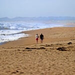 Beach closures Updated: These are the beaches closed in Mass. as the heat wave hits 1 min read