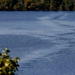 Cambridge Authorities have identified person found dead in Cambridge pond August 23, 2026 | 7:40 pm