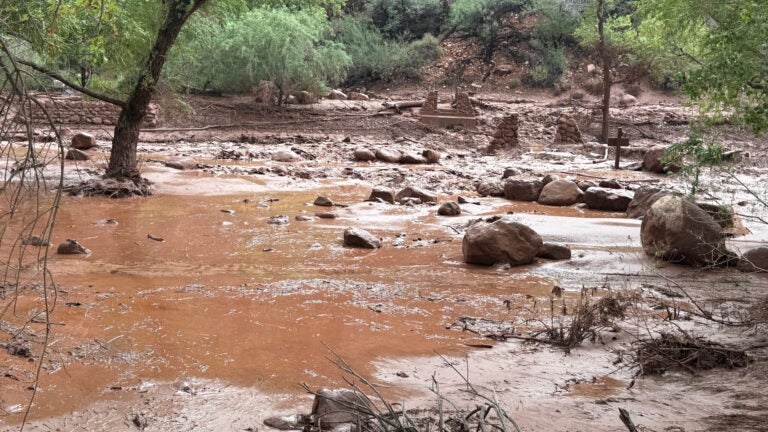 Dozens evacuated from Grand Canyon after flash flood Dozens evacuated from Grand Canyon after flash flood