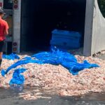 Squid Spill Narragansett Beer convenes ’emergency meeting’ in response to squid spill
