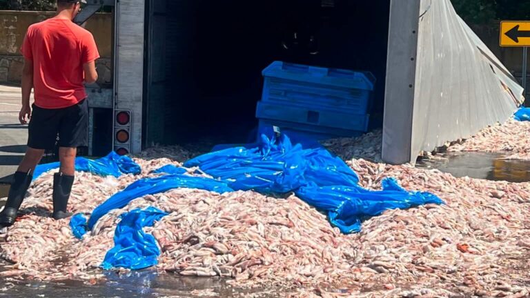 Narragansett Beer convenes 'emergency meeting' in response to squid spill