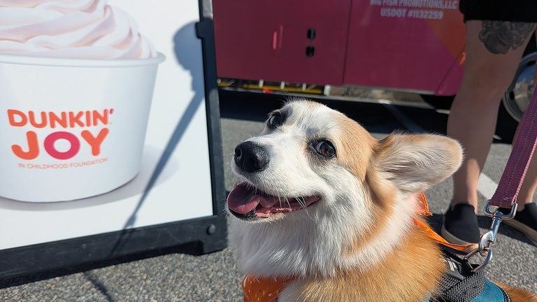 Dunkin’ opened a drive-thru just for dogs in Quincy Dunkin’ opened a drive-thru just for dogs in Quincy