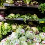 Cyclospora outbreak Massachusetts is now on the list of states reporting a cyclospora outbreak August 18, 2026 | 1:20 pm