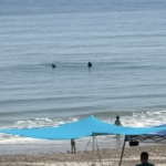 Sharks Huge basking shark spotted off South Shore beach, white sharks appear near Maine, Cape Cod August 5, 2026 | 10...