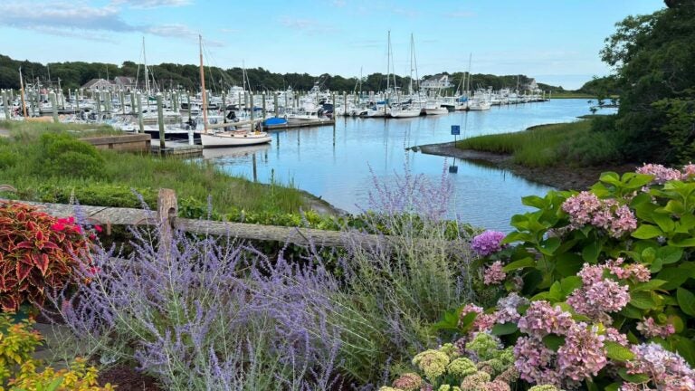 Harwich