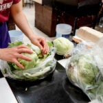 Cyclospora Cyclospora cases climb to 147 in Mass., but officials say season remains within historical range
