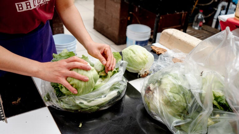 Cyclospora cases climb to 147 in Mass., but officials say season remains within historical range