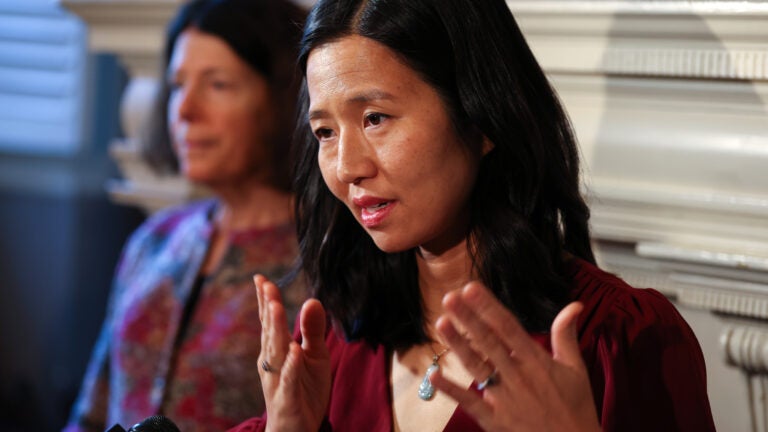 DHS calls Wu ‘unhinged' after she urges private property owners to reject ICE parking request