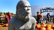 Bigfoot sightings in New England are not as rare as you might think