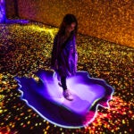 WNDR Museum Downtown Boston immersive art museum announces closure