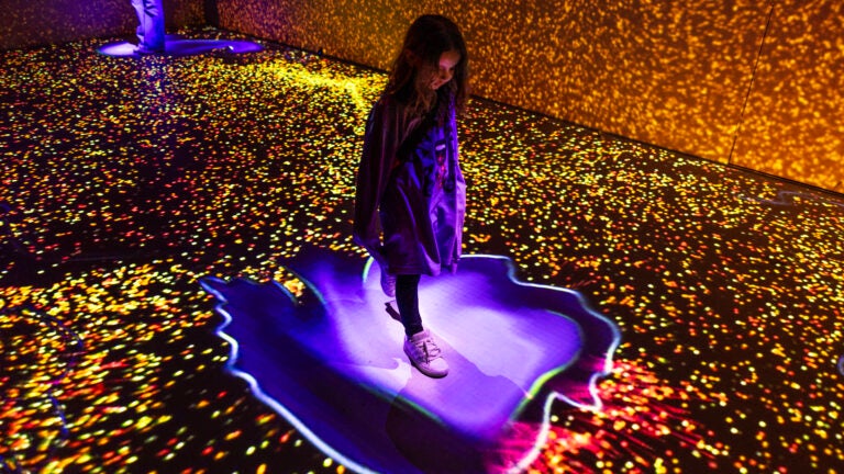 Downtown Boston immersive art museum announces closure Downtown Boston immersive art museum announces closure