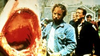 Richard Dreyfuss and Roy Scheider in