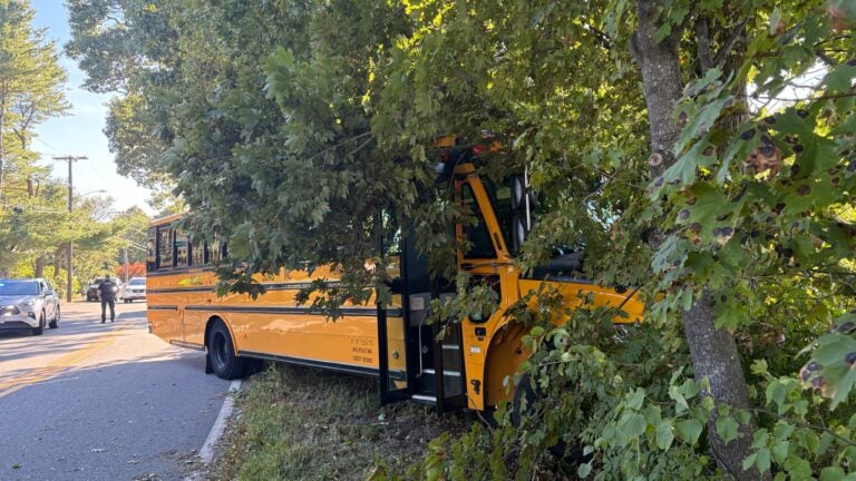 Elementary student, bus driver injured in Mass. bus crash Elementary student, bus driver injured in Mass. bus crash