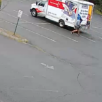 Animal Attacks An unknown ‘wild animal’ has been attacking people in this NH town September 2, 2026 | 1:46 pm