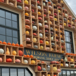 New England Travel How a giant pumpkin wall became a big-time fall destination 3 min read