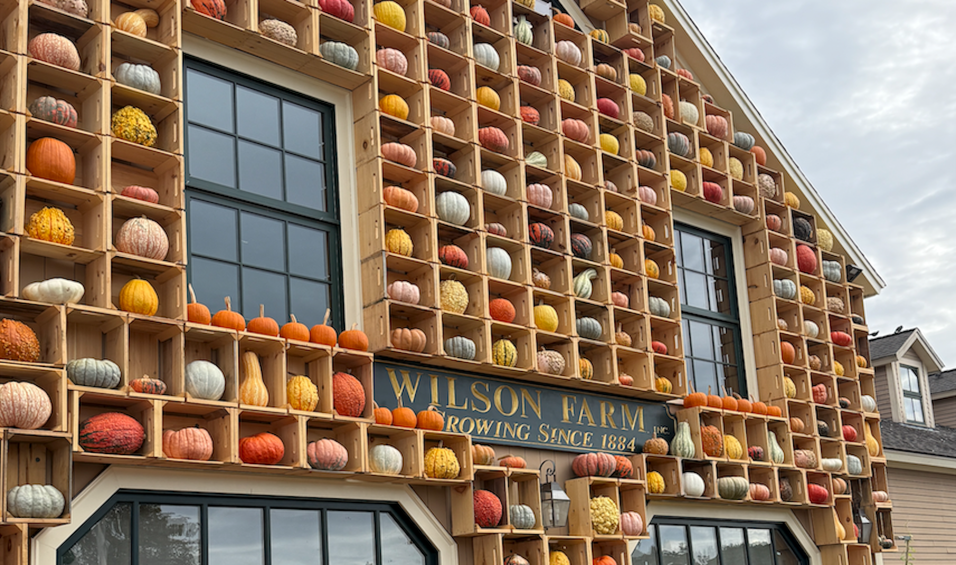 How a giant pumpkin wall became a big-time fall destination How a giant pumpkin wall became a big-time fall destination