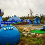 Wild Blueberry Land