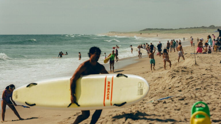 Cape Cod learns to live with sharks