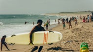 How Cape Cod became a destination for shark tourism