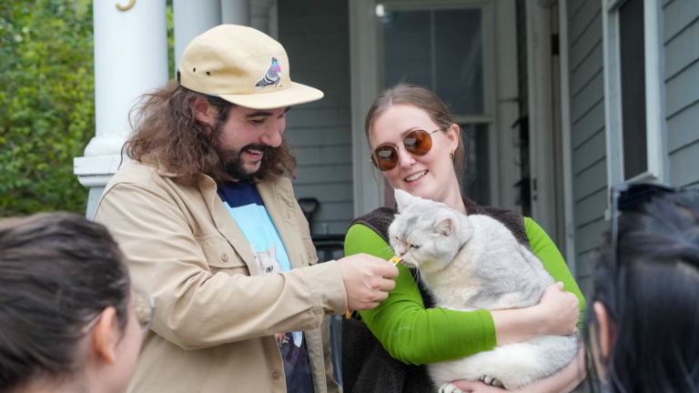Lower Allston's first Cat Stroll draws 300 to 350 people