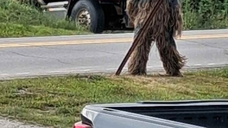 Bigfoot sighting was just a man in a costume, Maine police department assures residents