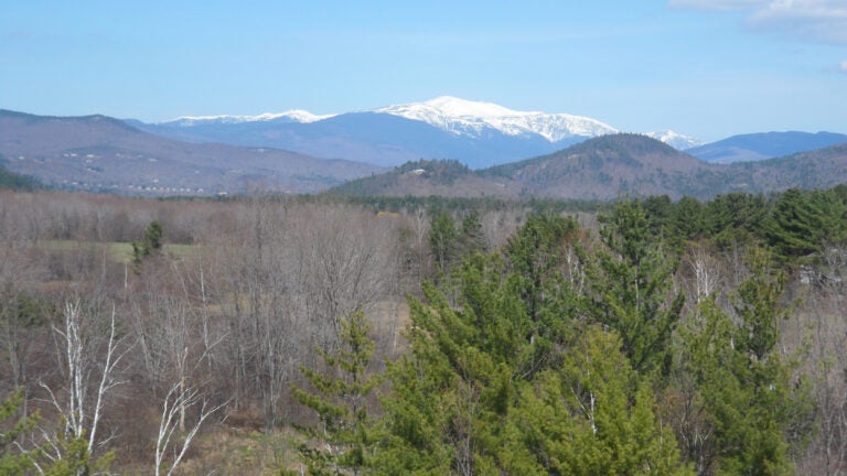 Hiker, 61, walks miles up Mt. Washington with dislocated shoulder before receiving aid at summit Hiker, 61, walks miles up Mt. Washington with dislocated shoulder before receiving aid at summit