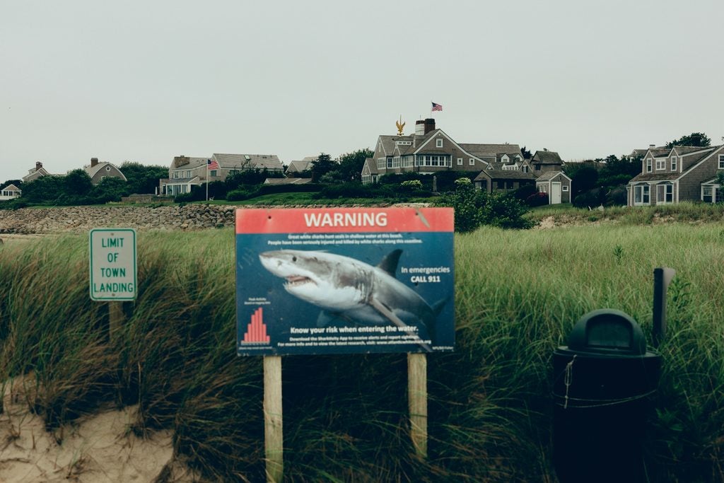Threatening shark warning signs, like this one in the town of Chatham, are now commonplace at beach entrances on Cape Cod, Mass., July 26, 2026. Over the last several years, a resurgent seal population has turned Cape Cod into one of the world’s top seasonal hot spots for great white sharks. (Amir Hamja/The New York Times)