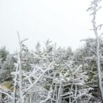 New Hampshire The snowplows were out on Mount Washington this week October 7, 2026 | 1:50 pm