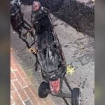 Somerville Fire at Somerville veterans housing leaves 2 injured, residents displaced