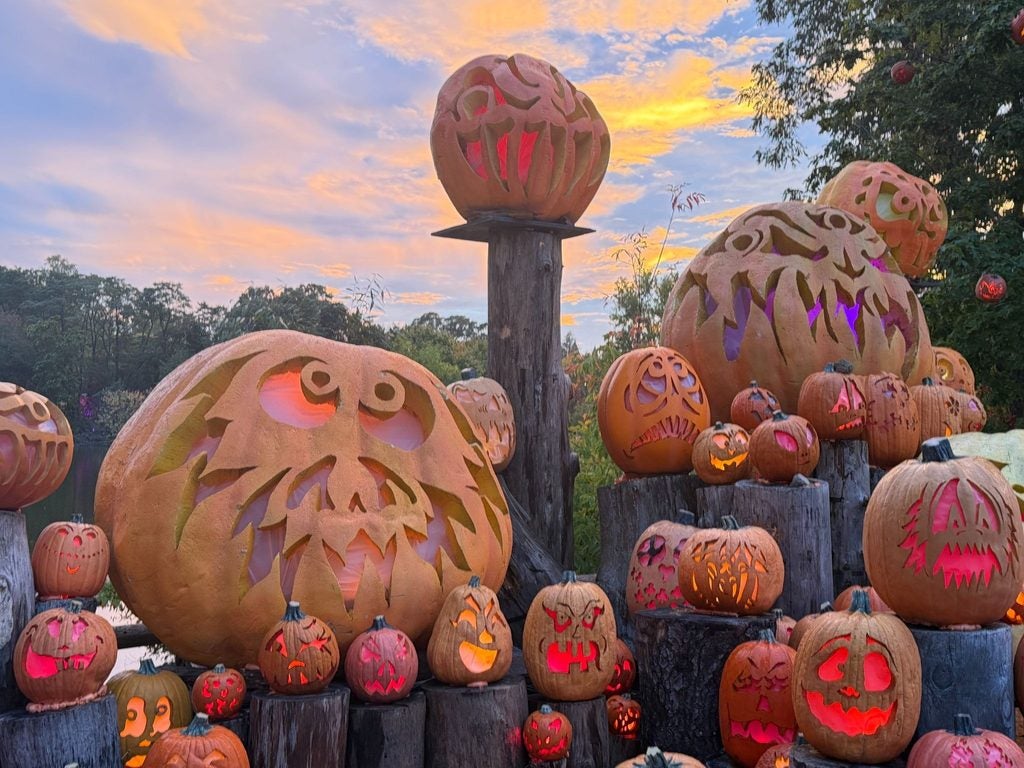 Inside Rhode Island's glowing Jack-O-Lantern Spectacular